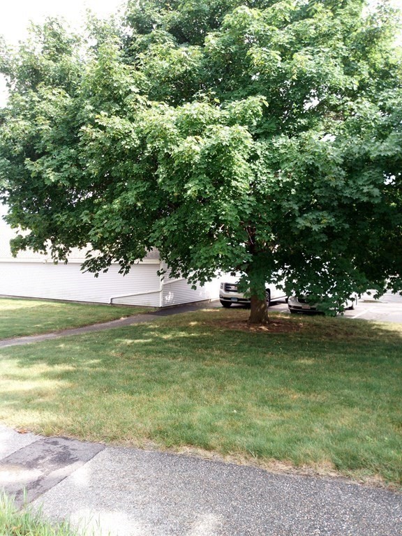 81 Mitchell Drive, Unit 81 Chicopee, MA 01022 - Photo 14 of 18 a view of a trees in a yard next to a yard