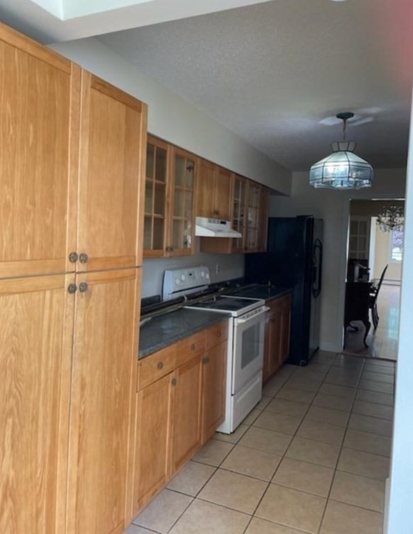 81 Mitchell Drive, Unit 81 Chicopee, MA 01022 - Photo 3 of 18 a kitchen with a refrigerator and a sink