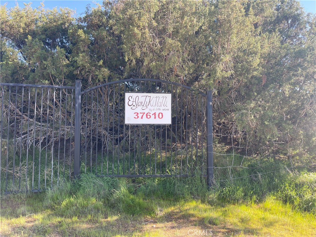 37610 Canton Way Caliente, CA 93518 - Photo 10 of 10