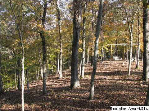 6925 Grey Hill Road West Blocton, AL 35184 - Photo 28 of 32
