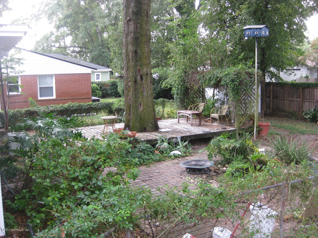 1680 Charon Road Jacksonville, FL 32205 - Photo 3 of 14 Playful backyard