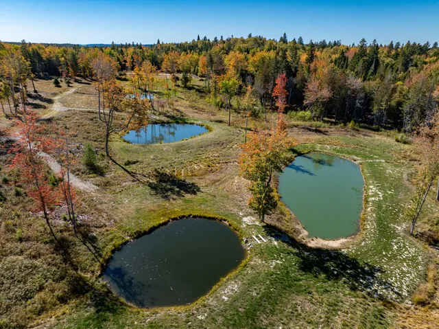 $699,000 | 408 Duck Cove Road, Roque Bluffs, ME 04654