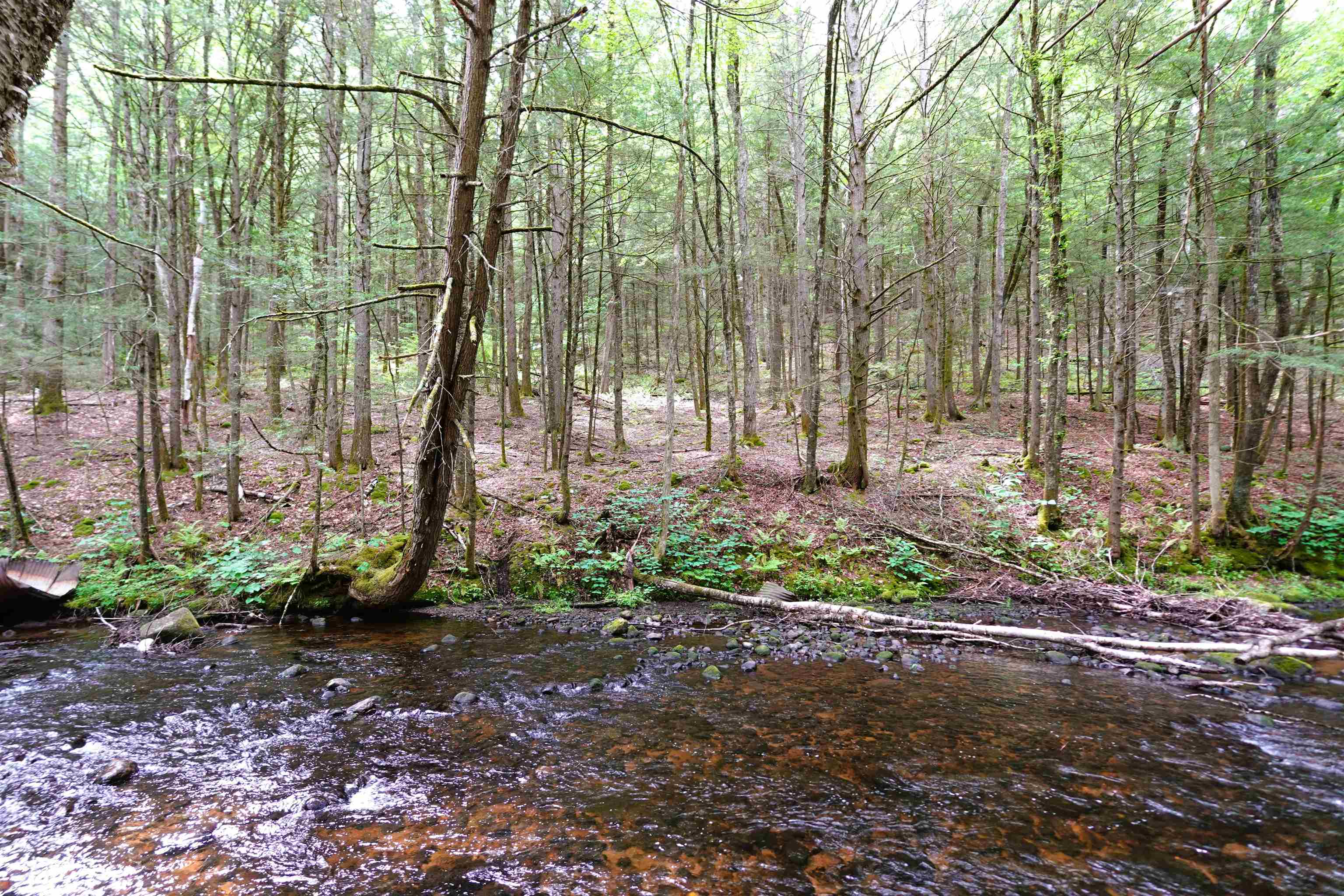 525 Richmond Road Winchester, NH 03470 - Photo 11 of 29