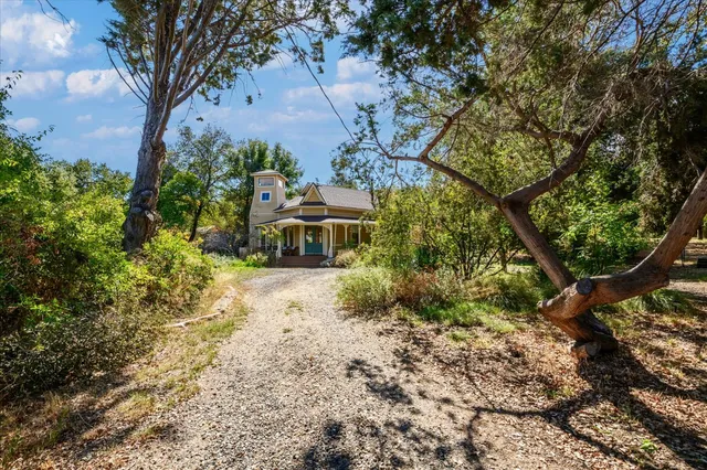 a view of a yard with plants and trees