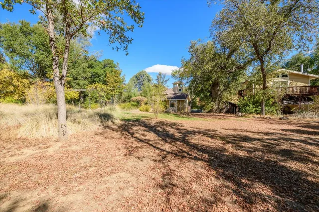 a view of dirt yard with a large tree