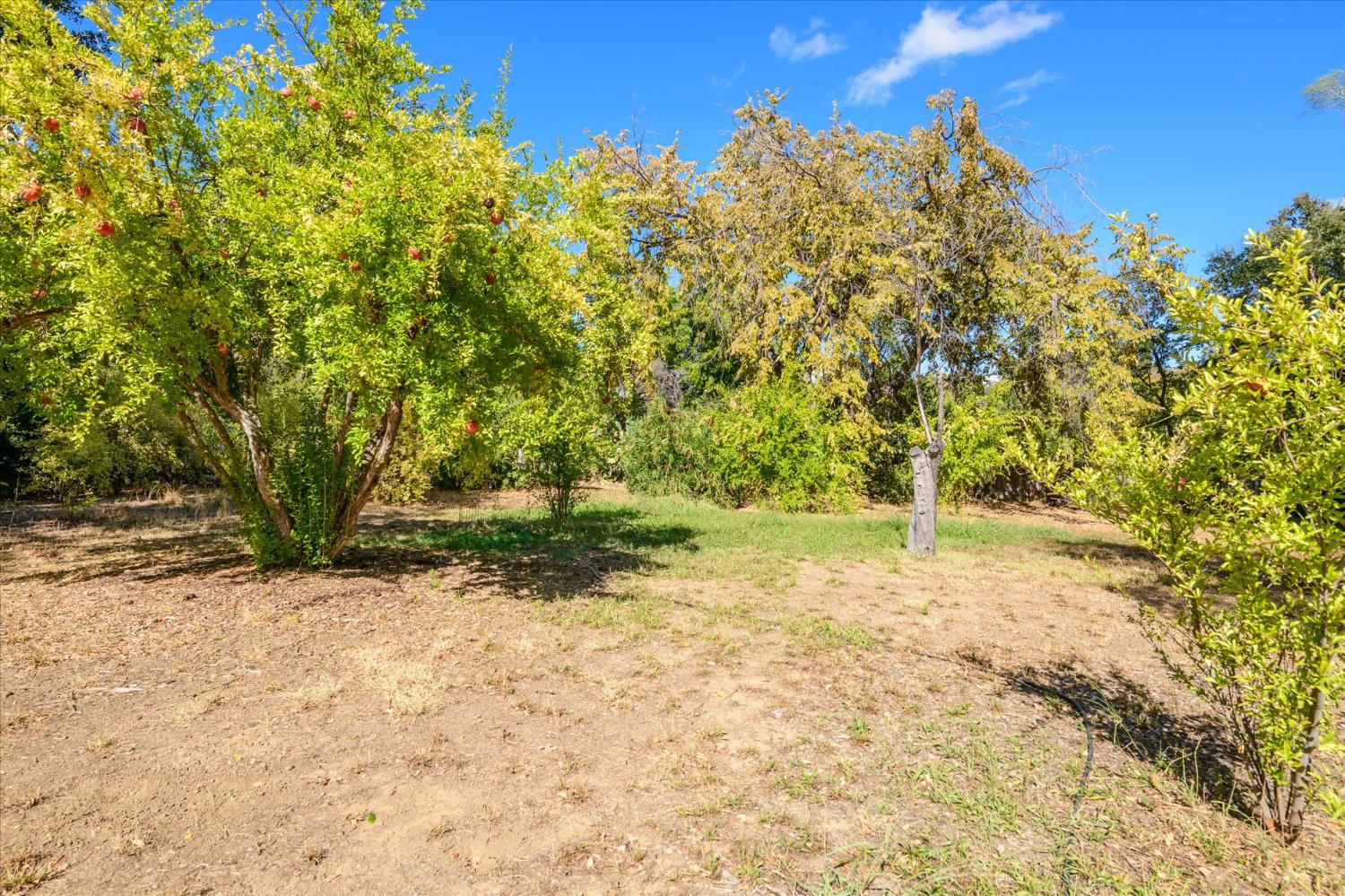 3520 Madrone Street Rumsey, CA 95679 - Photo 40 of 41