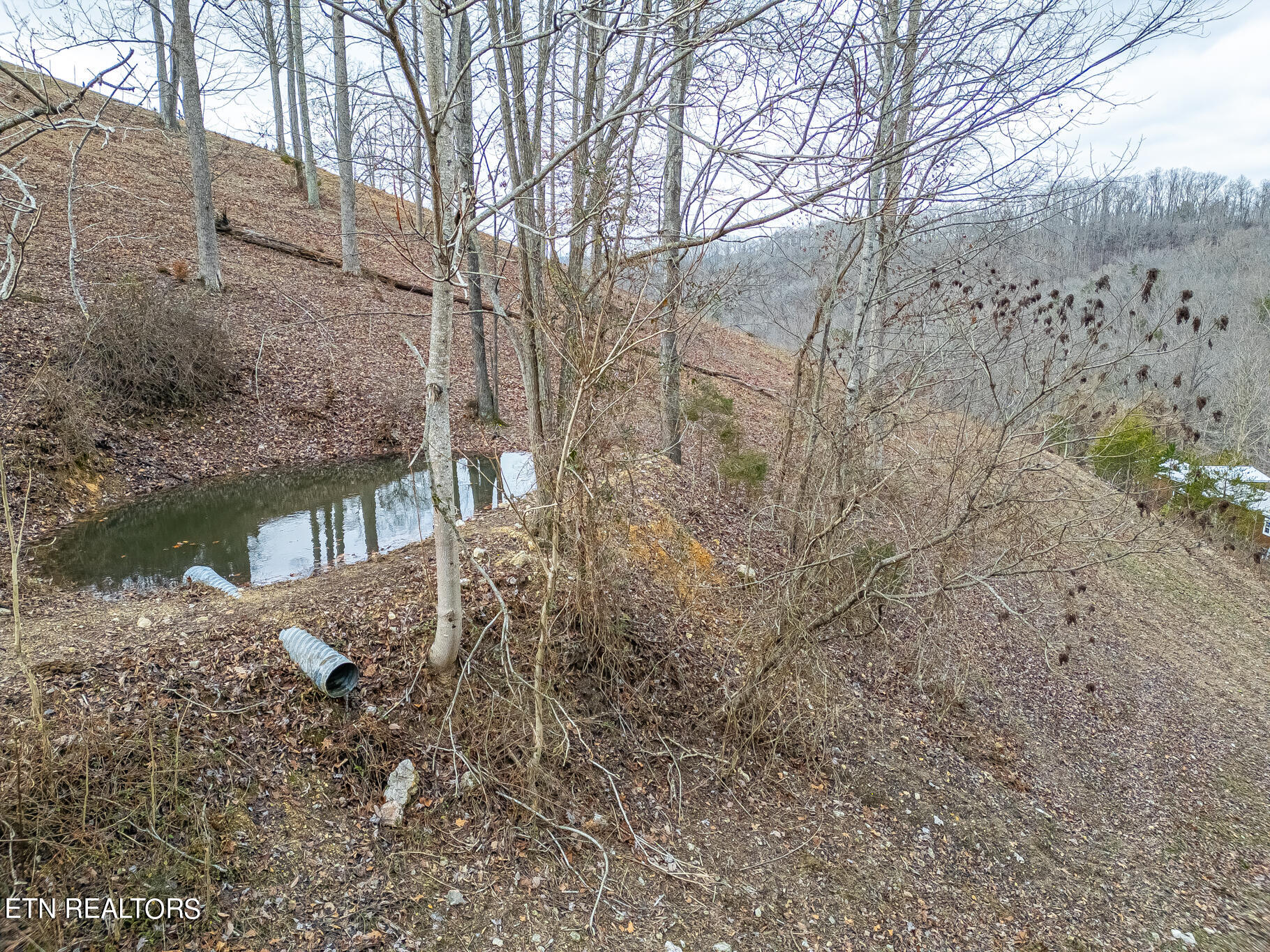 1750 Demory Road La Follette, TN 37766 - Photo 31 of 44 1750 Demory Aerial-12