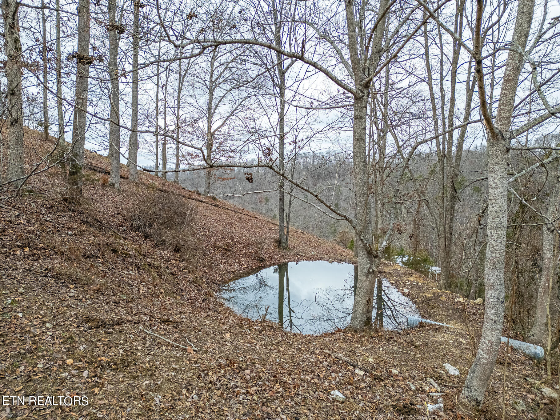 1750 Demory Road La Follette, TN 37766 - Photo 32 of 44 1750 Demory Aerial-11