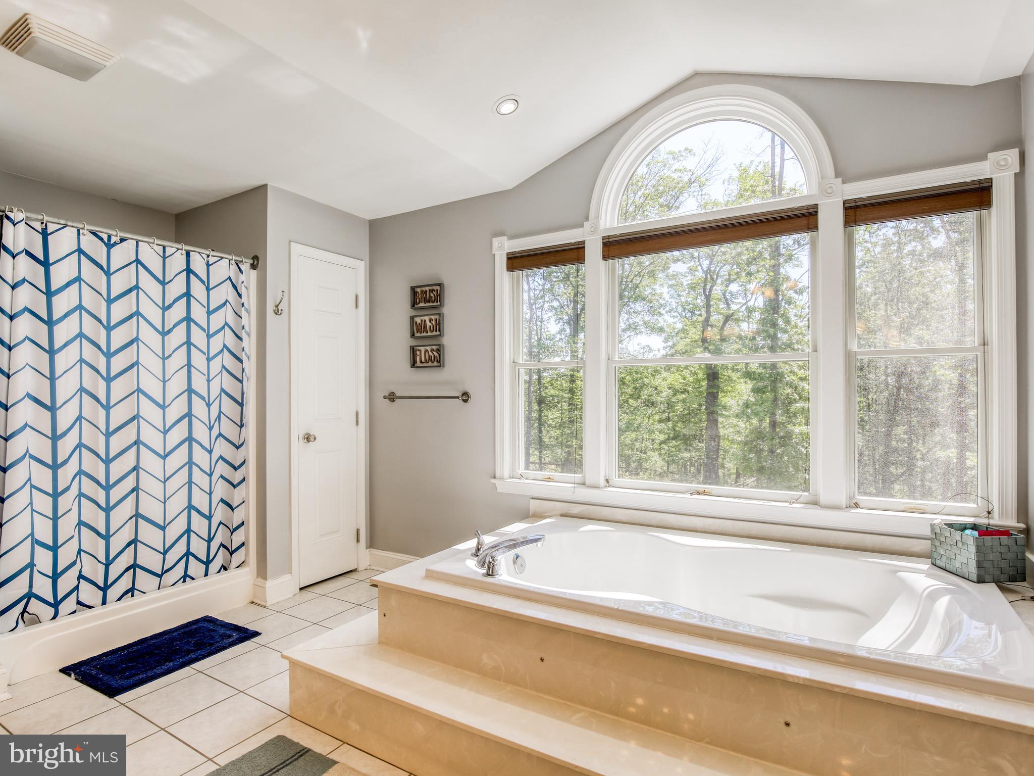 959 Adams Road Winchester, VA 22603 - Photo 24 of 42 Primary bath-large soaking tub and walk in shower