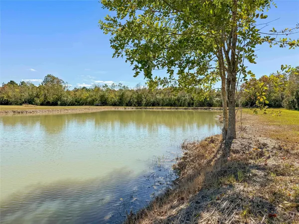 a view of a lake with a mountain