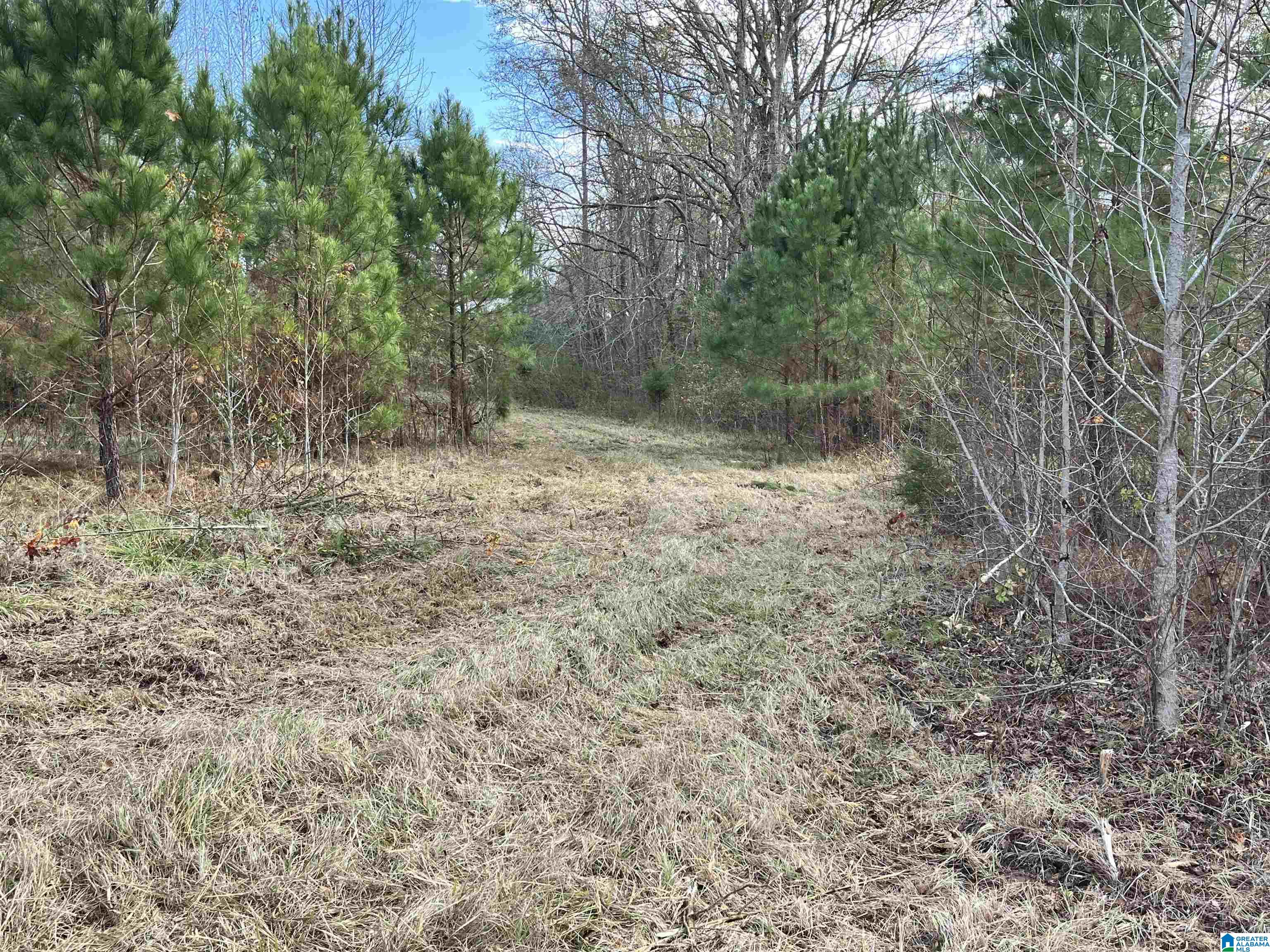 2020 Church Road, Unit 2020 Pell City, AL 35128 - Photo 4 of 16