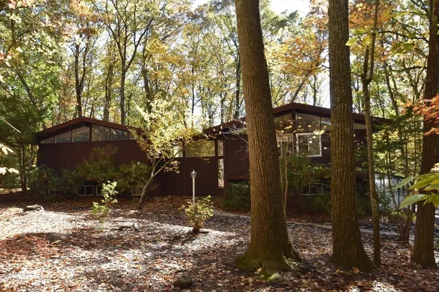 a view of a tree in front of a house