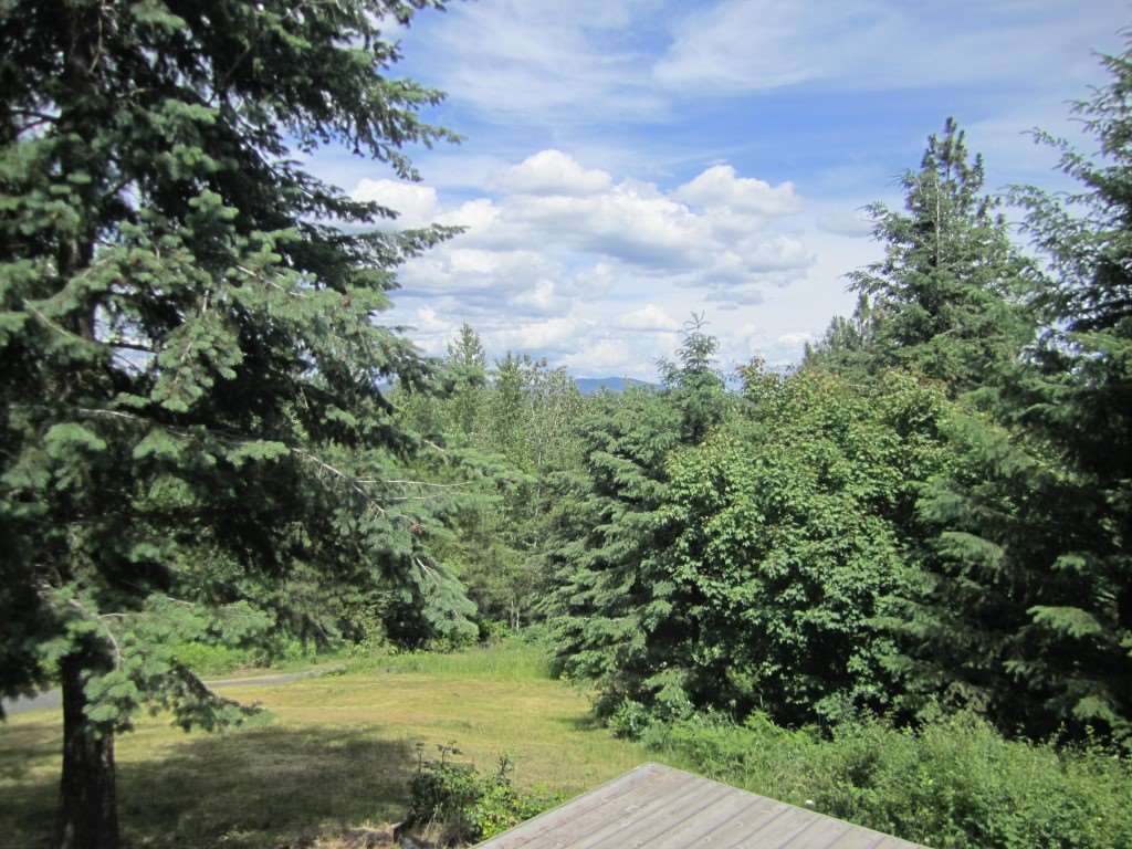37823 North Timothy Road Deer Park, WA 99006 - Photo 4 of 20