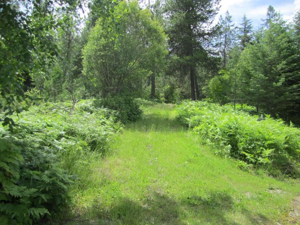 37823 North Timothy Road Deer Park, WA 99006 - Photo 6 of 20