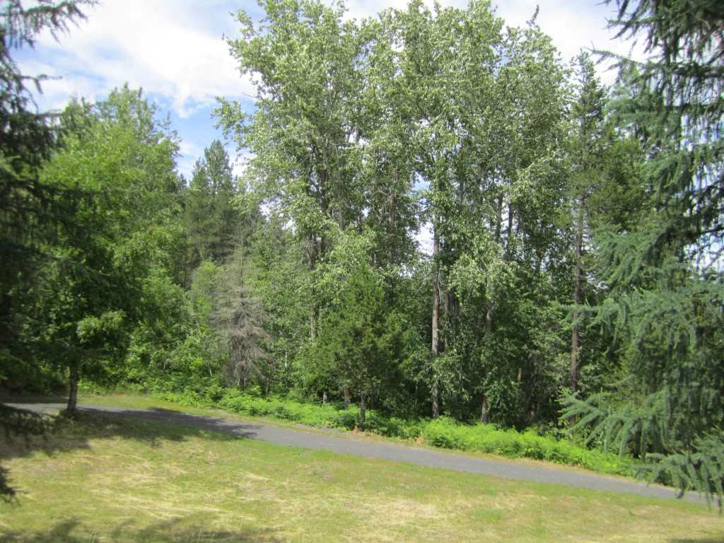 37823 North Timothy Road Deer Park, WA 99006 - Photo 7 of 20