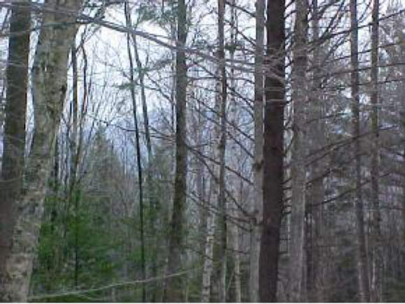 Old Stage Coach Road Rumney, NH 03266 - Photo 1 of 1