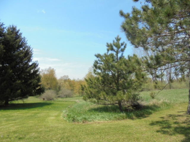 9460 South Vandecar Road Shepherd, MI 48883 - Photo 8 of 33 DSC06216