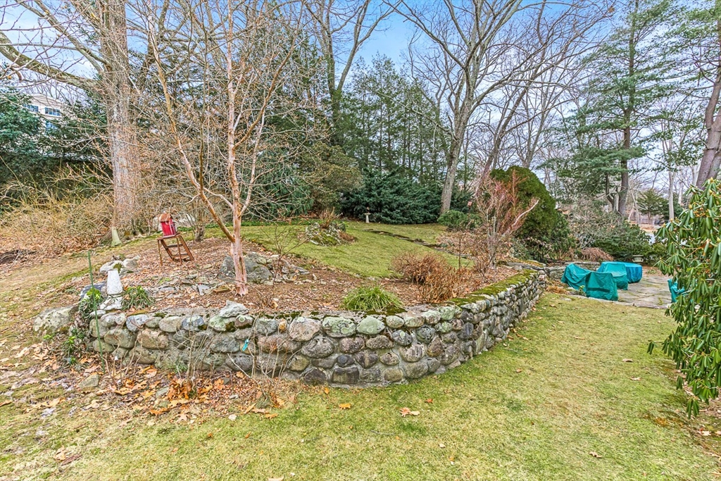 41 Rosalie Road Needham, MA 02494 - Photo 14 of 17