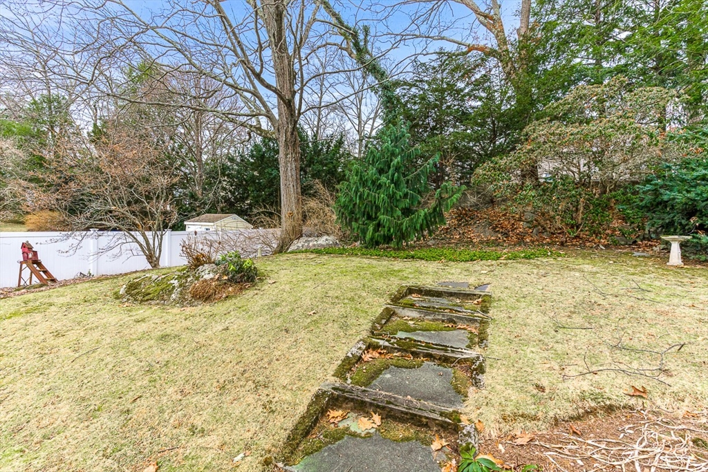 41 Rosalie Road Needham, MA 02494 - Photo 16 of 17