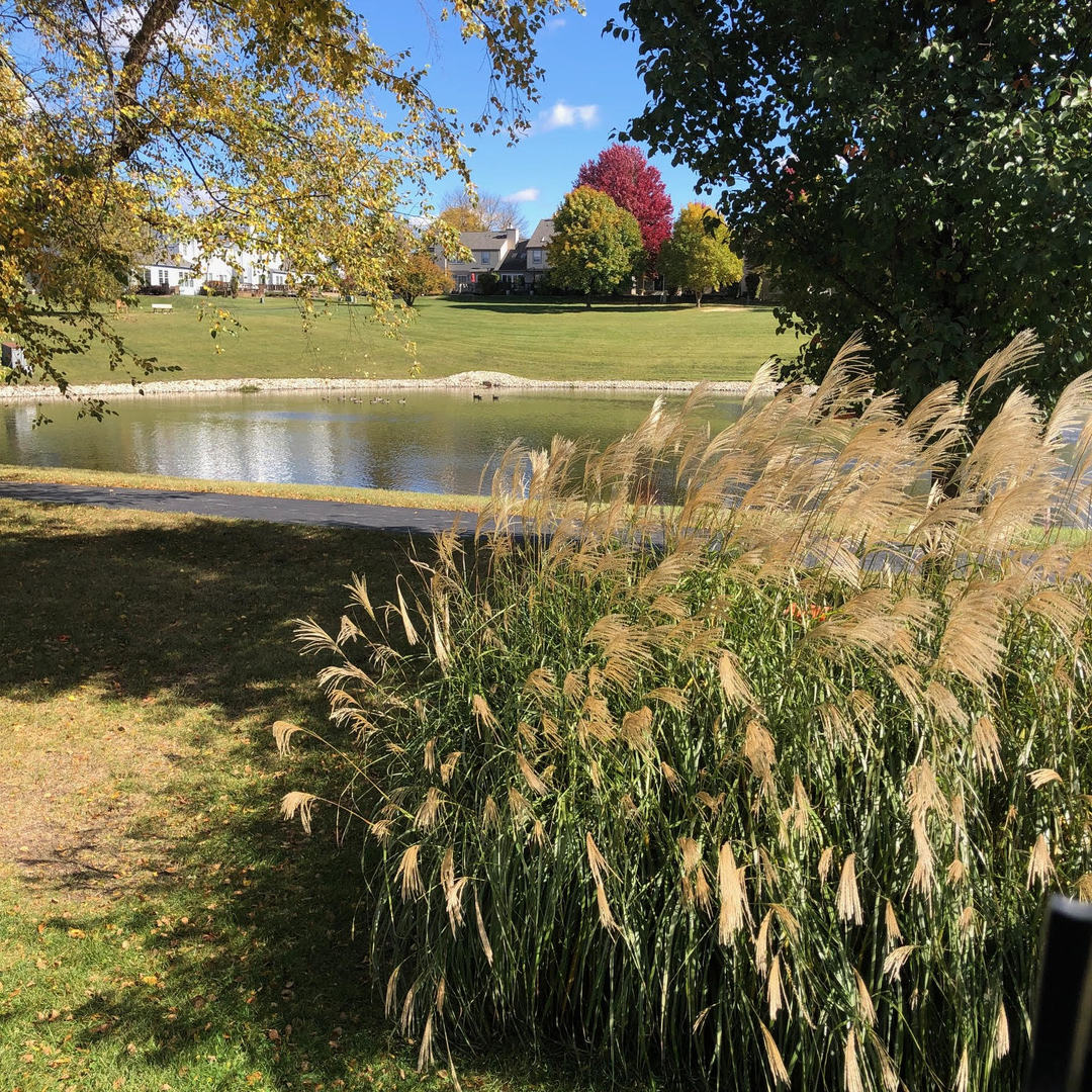 1712 Coach Drive Naperville, IL 60565 - Photo 26 of 39 a view of a lake with a yard