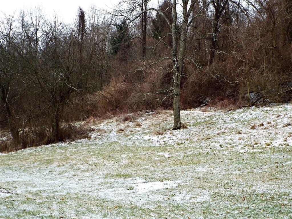 1349 Sugar Run Road Venetia, PA 15367 - Photo 18 of 19