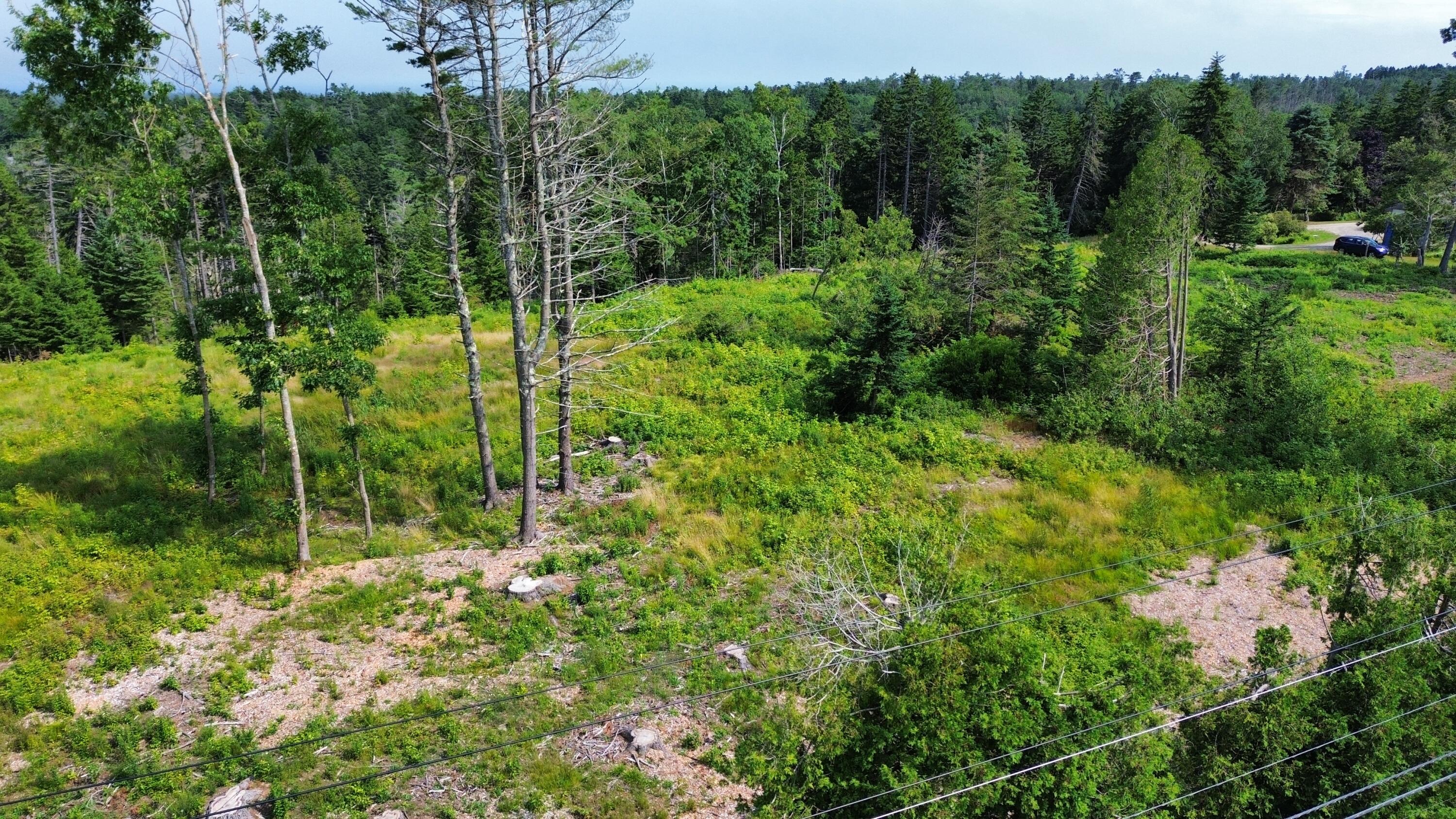 Lot #1 Bayview Road Orrs Island, ME 04066 - Photo 2 of 46 dji_fly_20240713_153926_878_172091595057