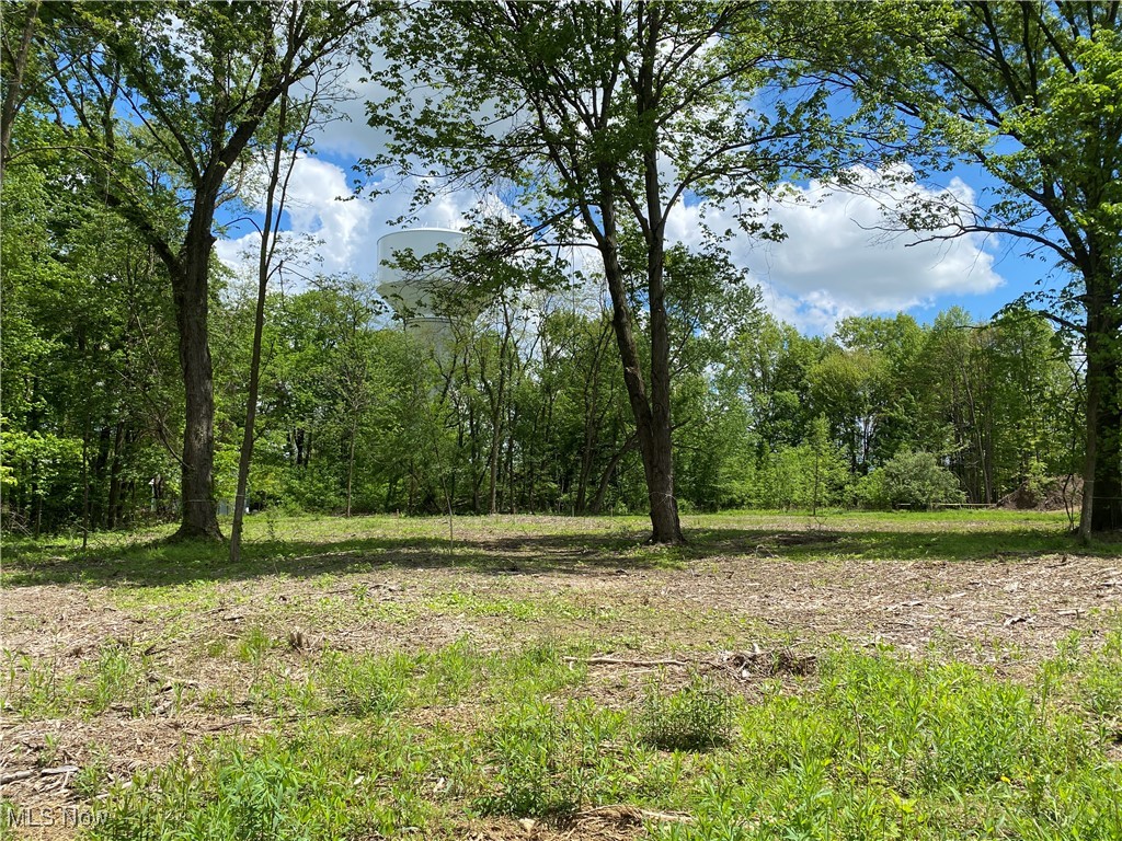 8615 Hunters Ridge Run Wadsworth, OH 44281 - Photo 2 of 8 Closer viiew of cleared lot with trees.