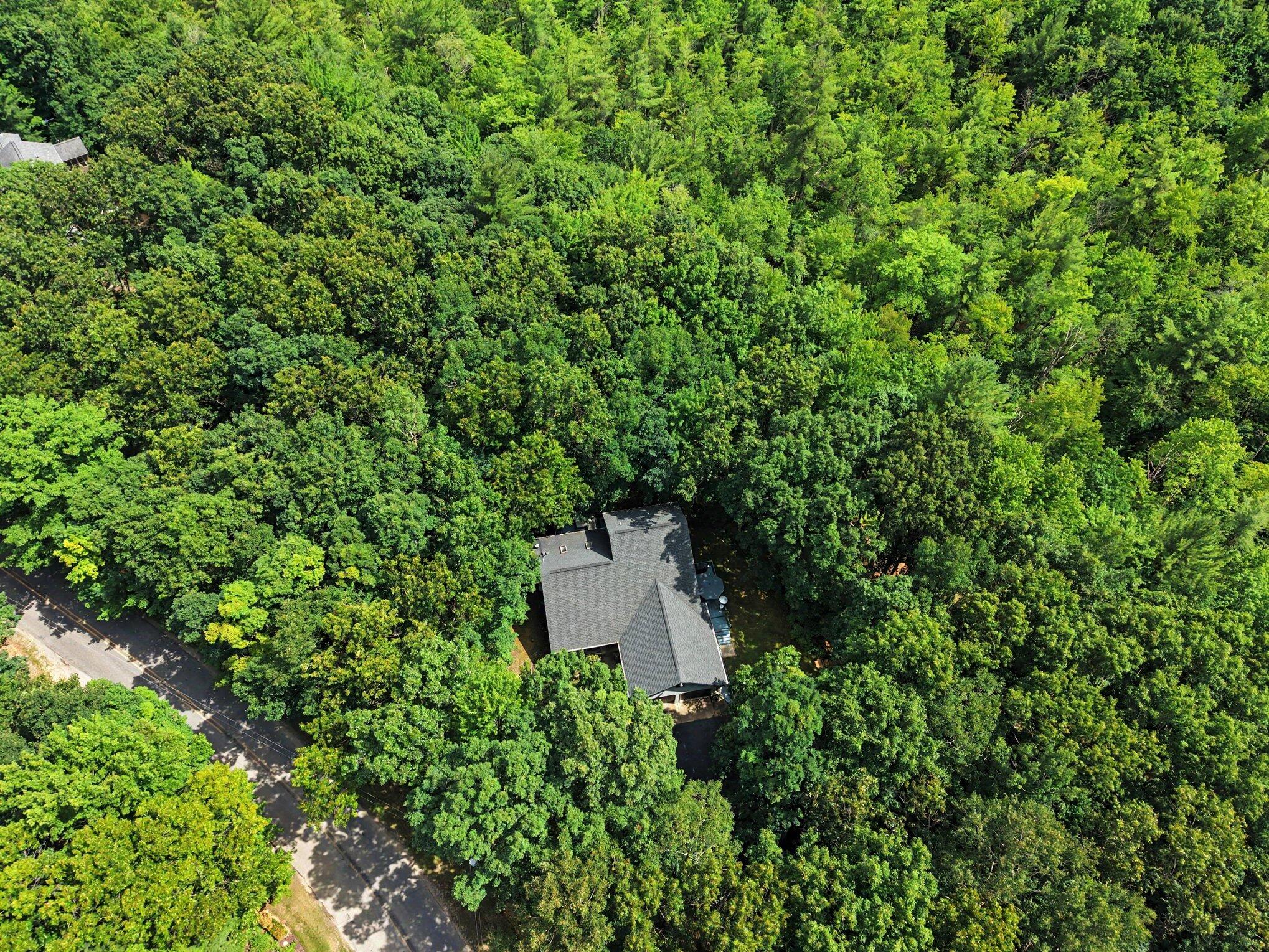 11793 Baker Road Greenville, MI 48838 - Photo 36 of 36 046_file_3932
