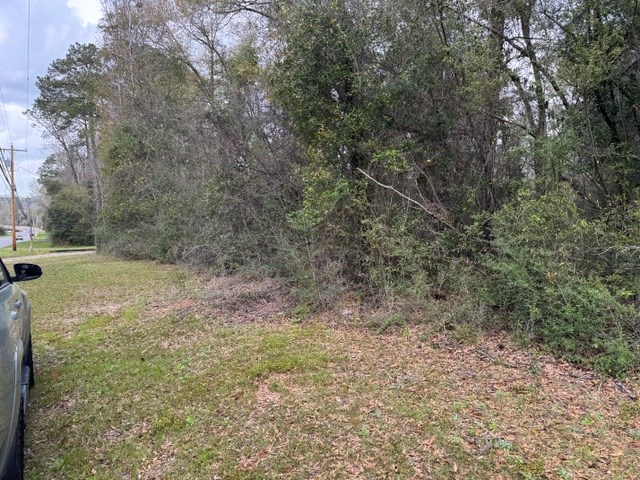 0 Davis Street Elba, AL 36323 - Photo 3 of 14