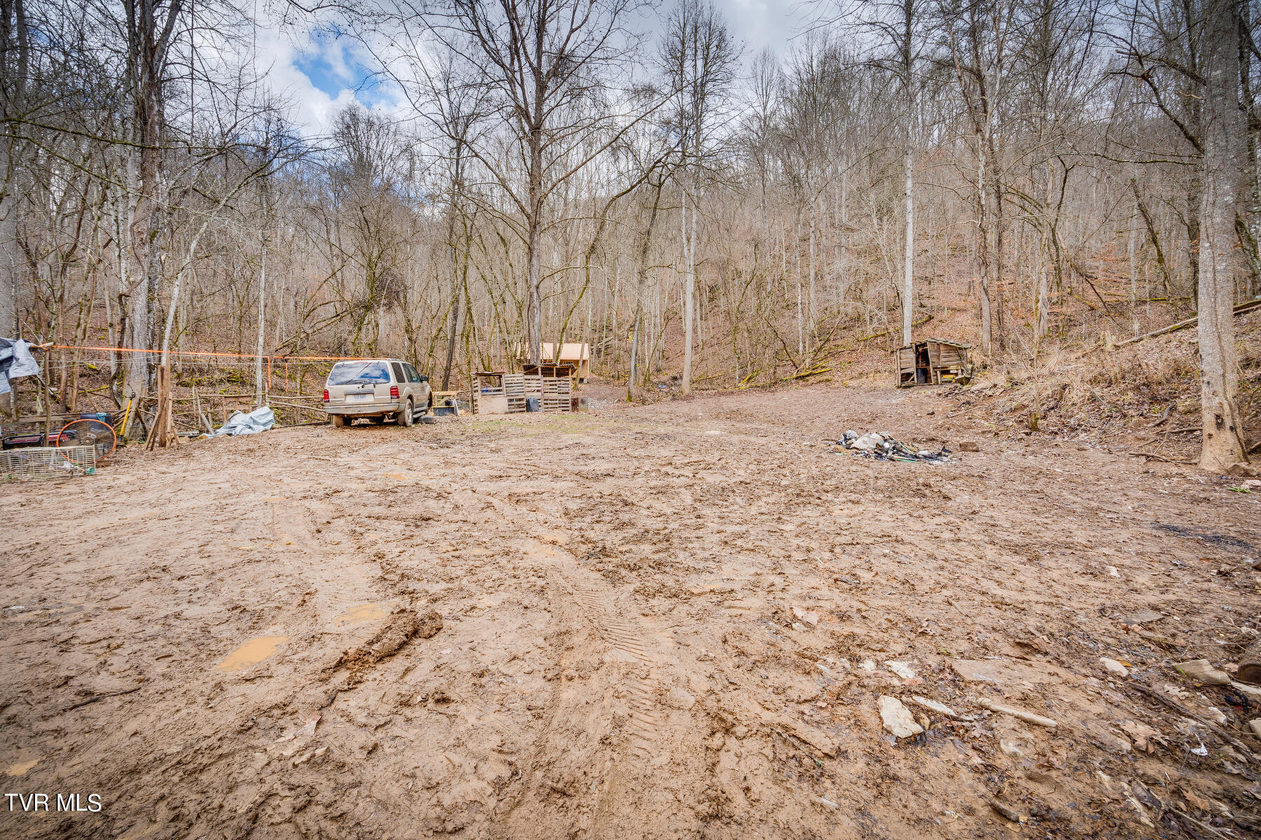 5152 Clinch Mountain Road Eidson, TN 37731 - Photo 14 of 34 014