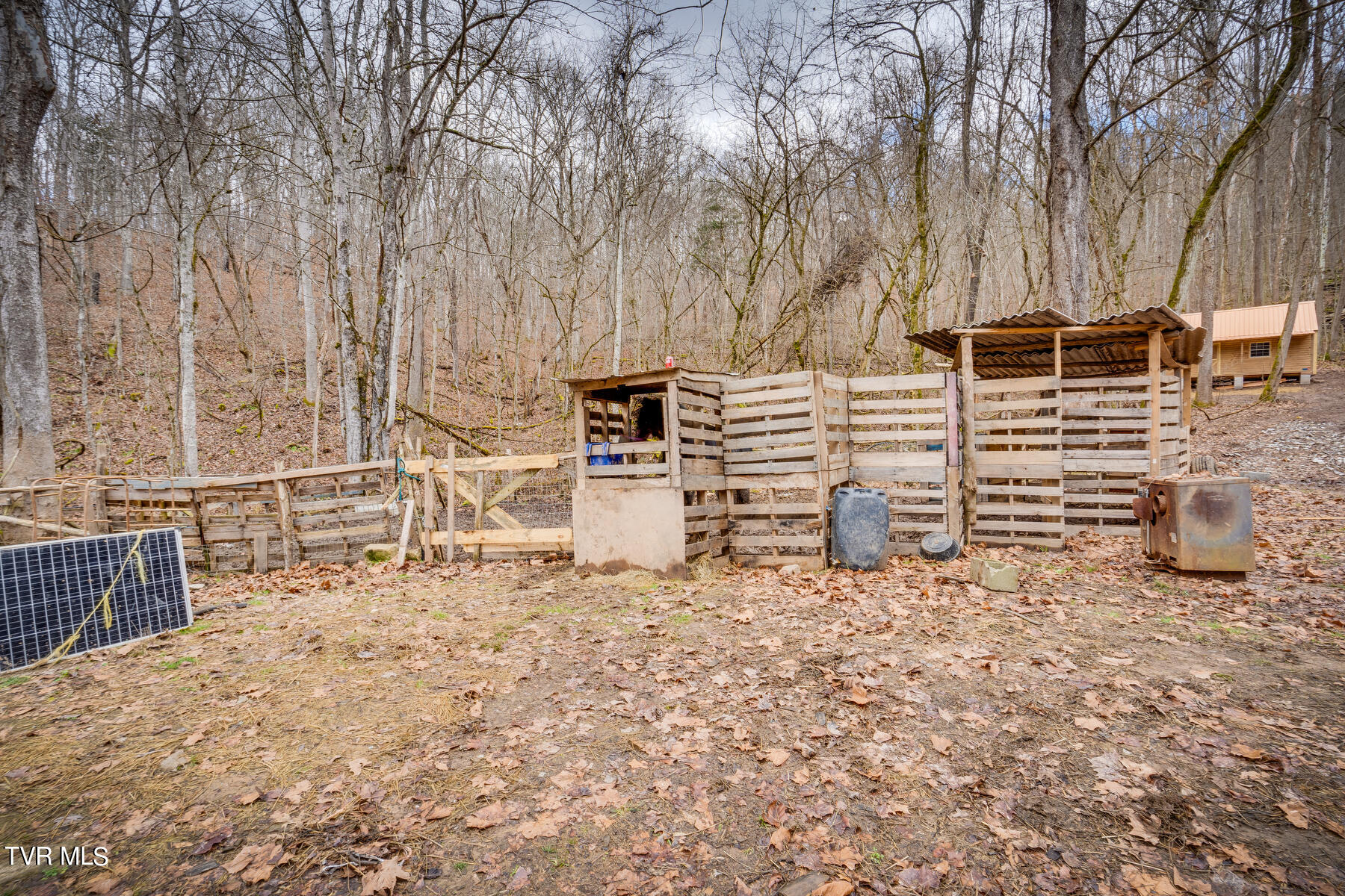 5152 Clinch Mountain Road Eidson, TN 37731 - Photo 18 of 34 018