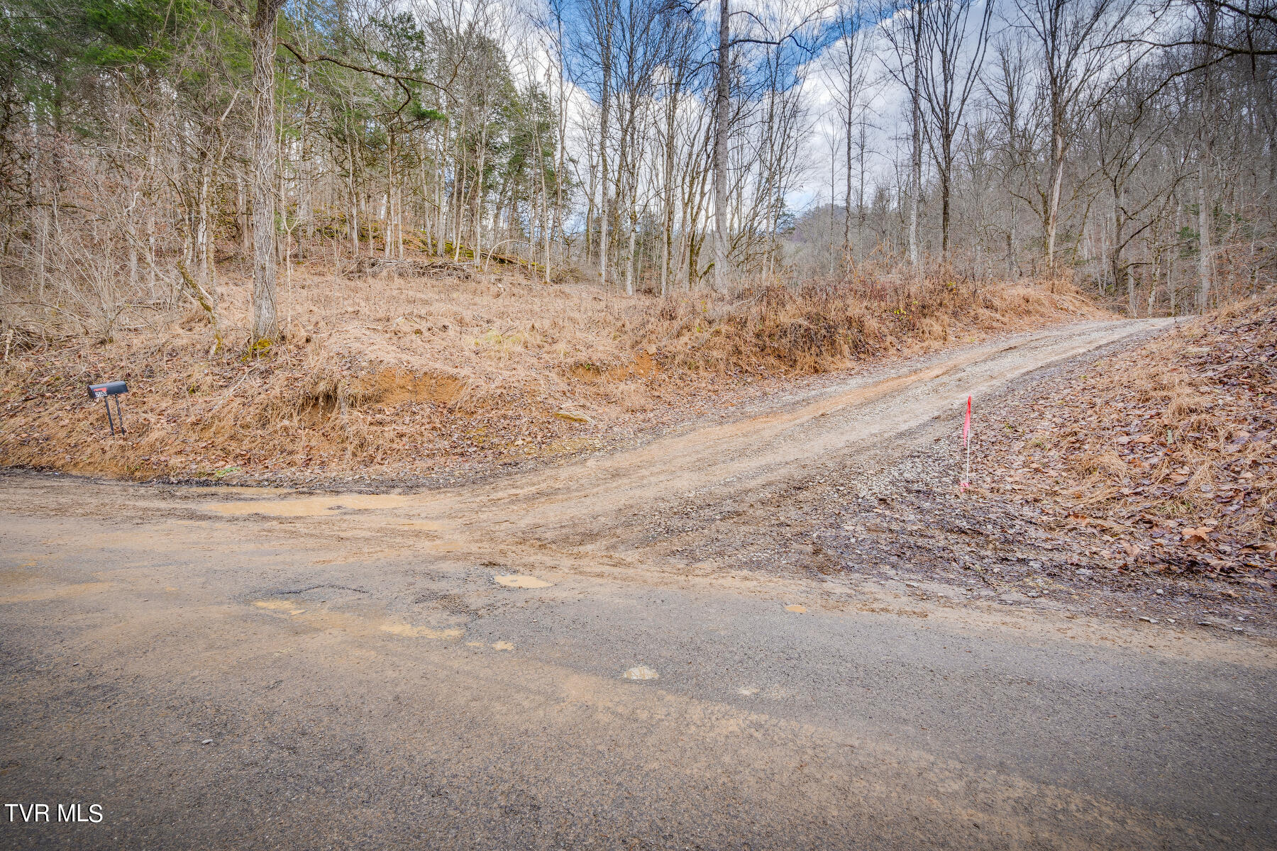 5152 Clinch Mountain Road Eidson, TN 37731 - Photo 2 of 34 001