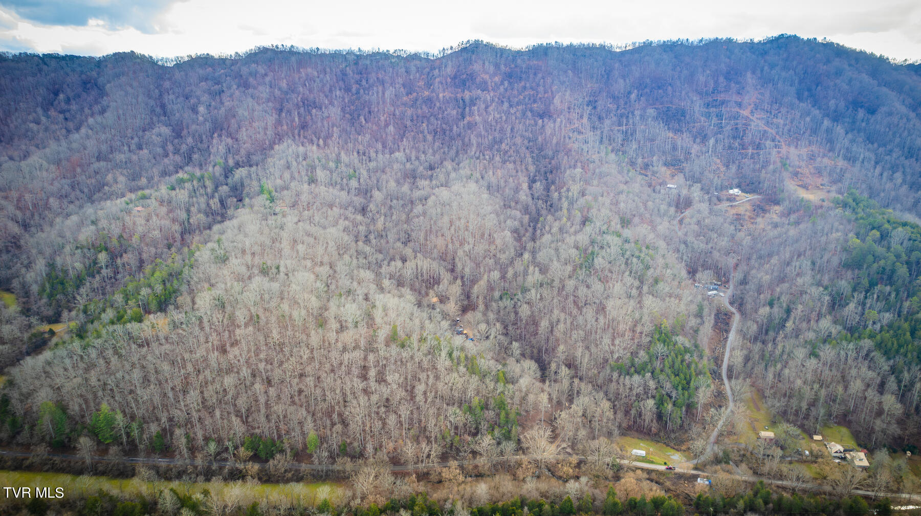 5152 Clinch Mountain Road Eidson, TN 37731 - Photo 25 of 34 105-Enhanced-NR