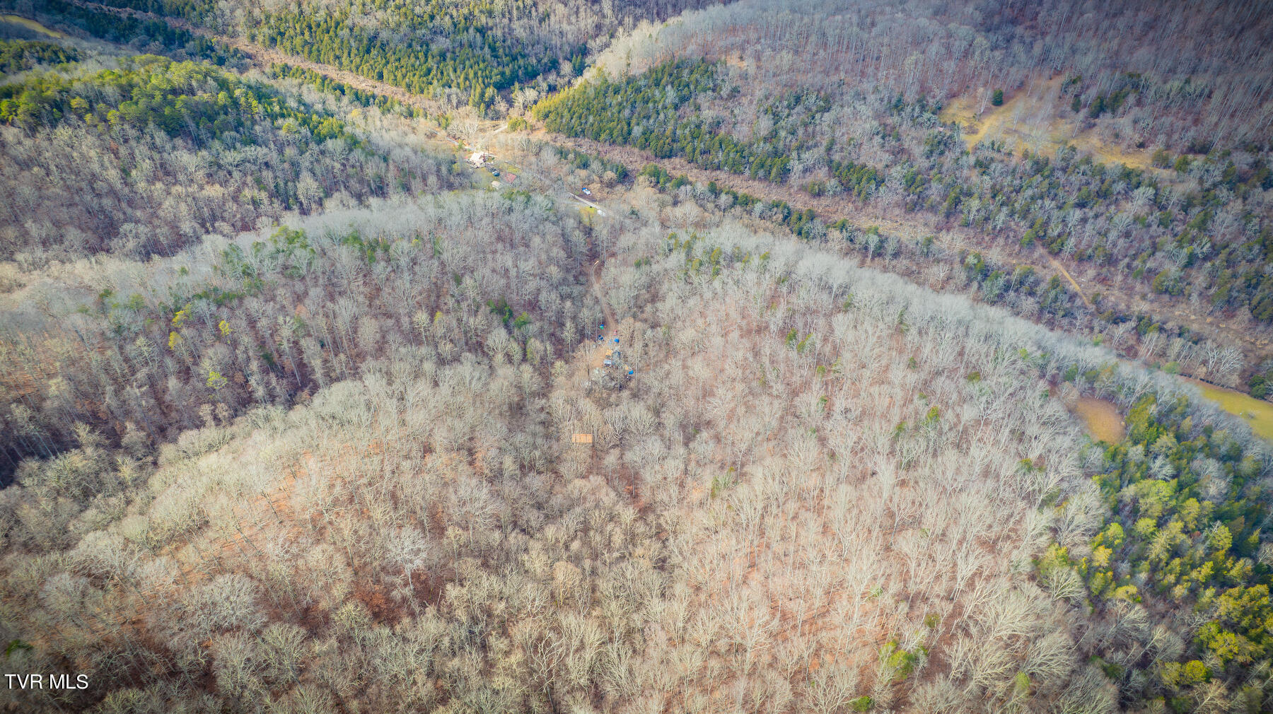 5152 Clinch Mountain Road Eidson, TN 37731 - Photo 29 of 34 109-Enhanced-NR