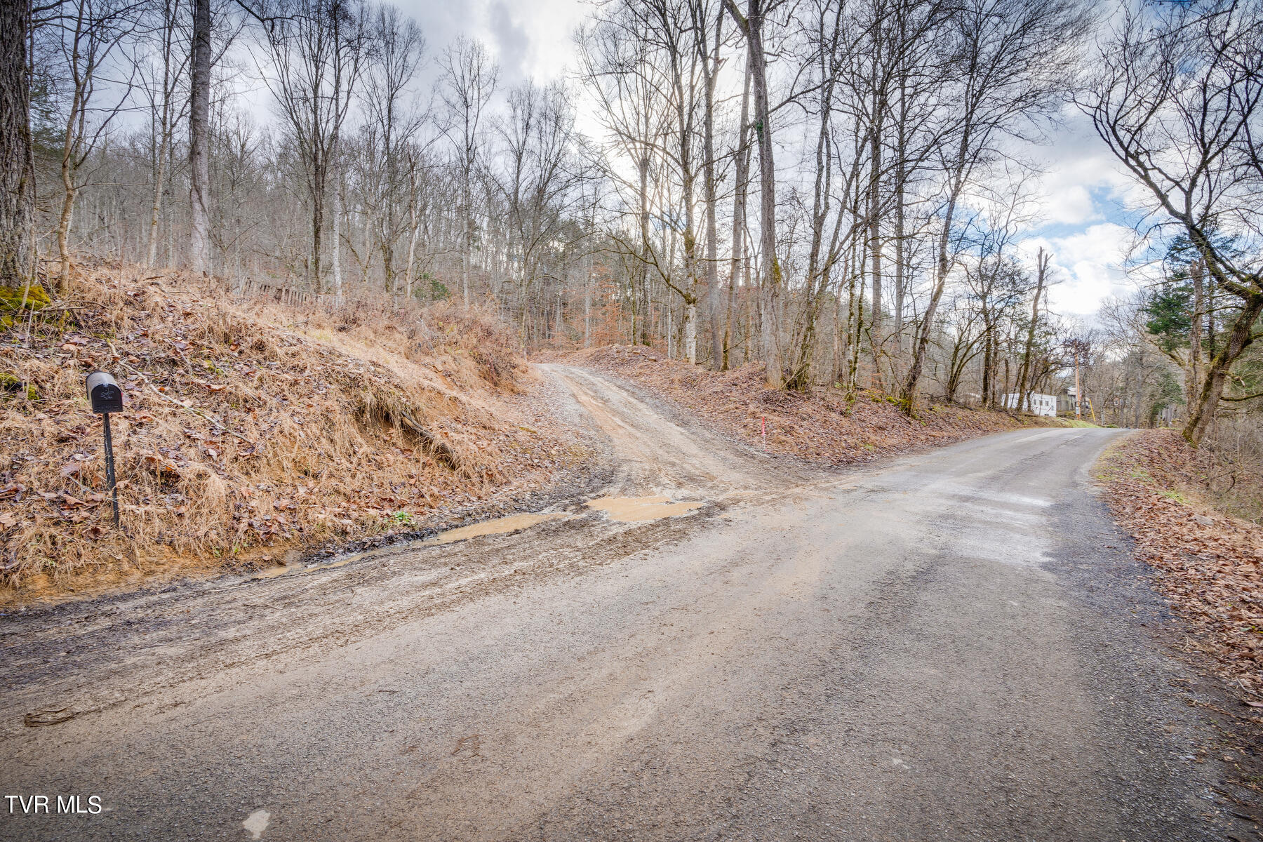 5152 Clinch Mountain Road Eidson, TN 37731 - Photo 3 of 34 002