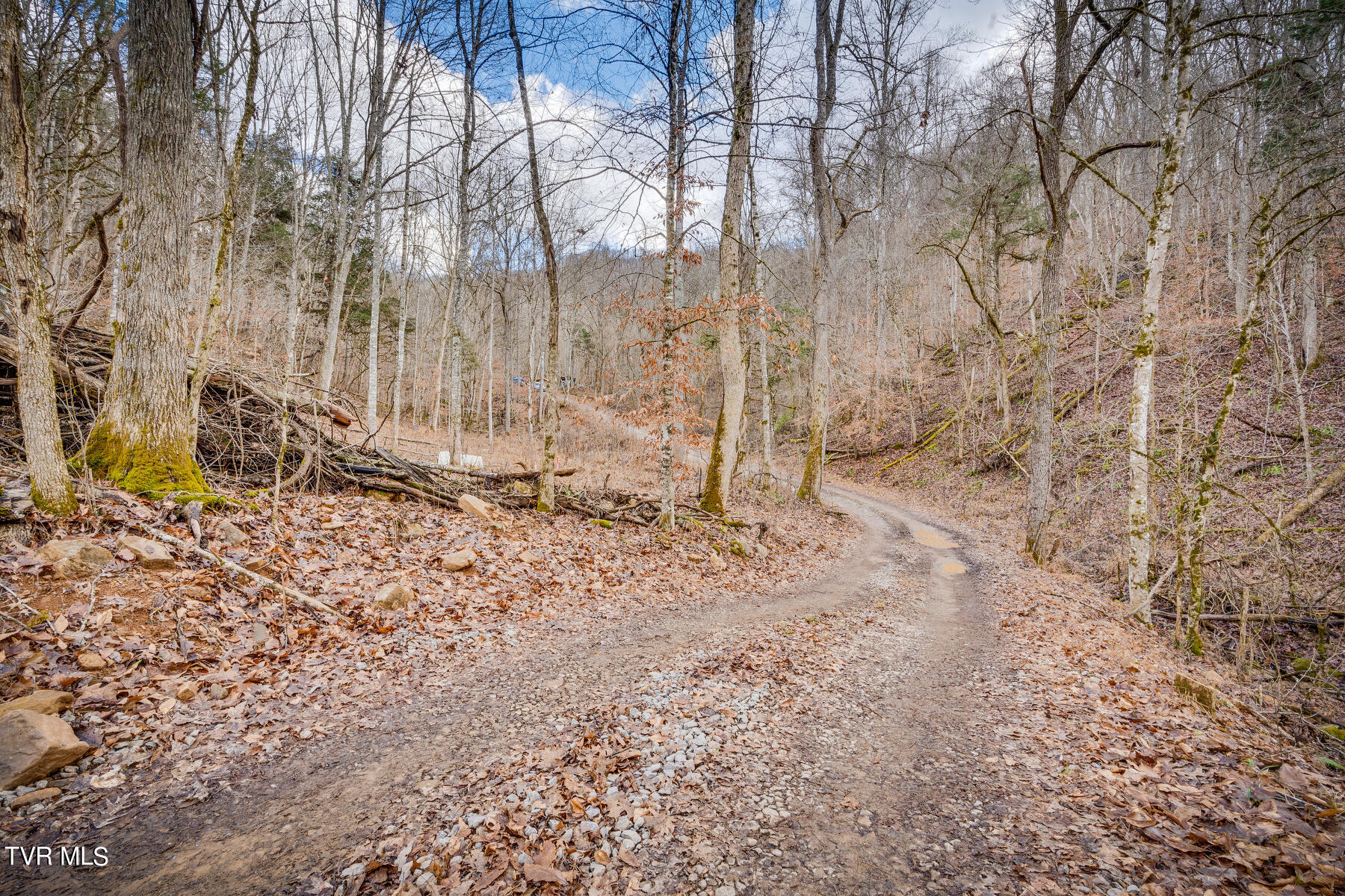 5152 Clinch Mountain Road Eidson, TN 37731 - Photo 4 of 34 003
