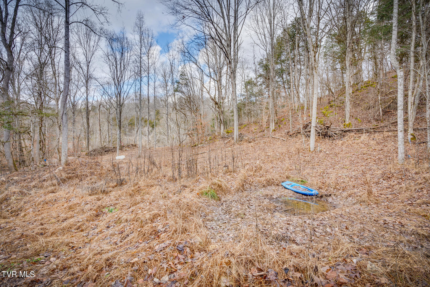 5152 Clinch Mountain Road Eidson, TN 37731 - Photo 5 of 34 004