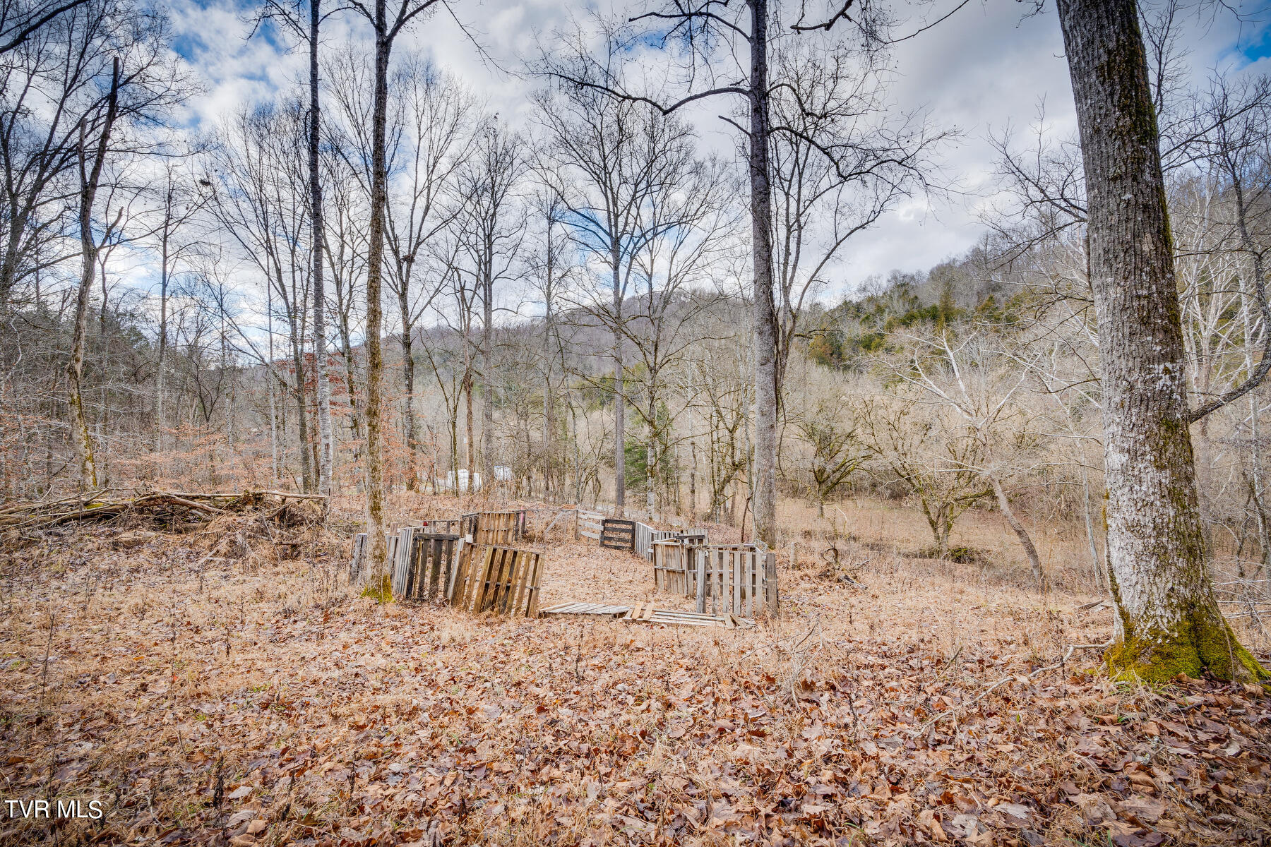 5152 Clinch Mountain Road Eidson, TN 37731 - Photo 6 of 34 005
