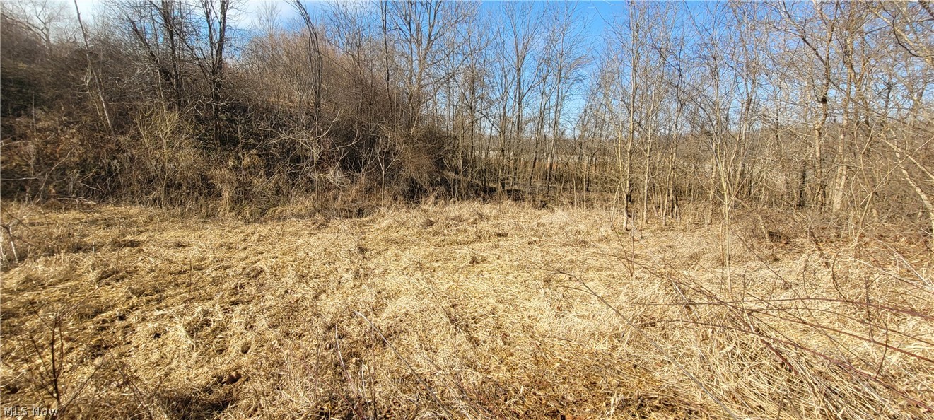 4002 Plainfield Road Kimbolton, OH 43749 - Photo 29 of 33