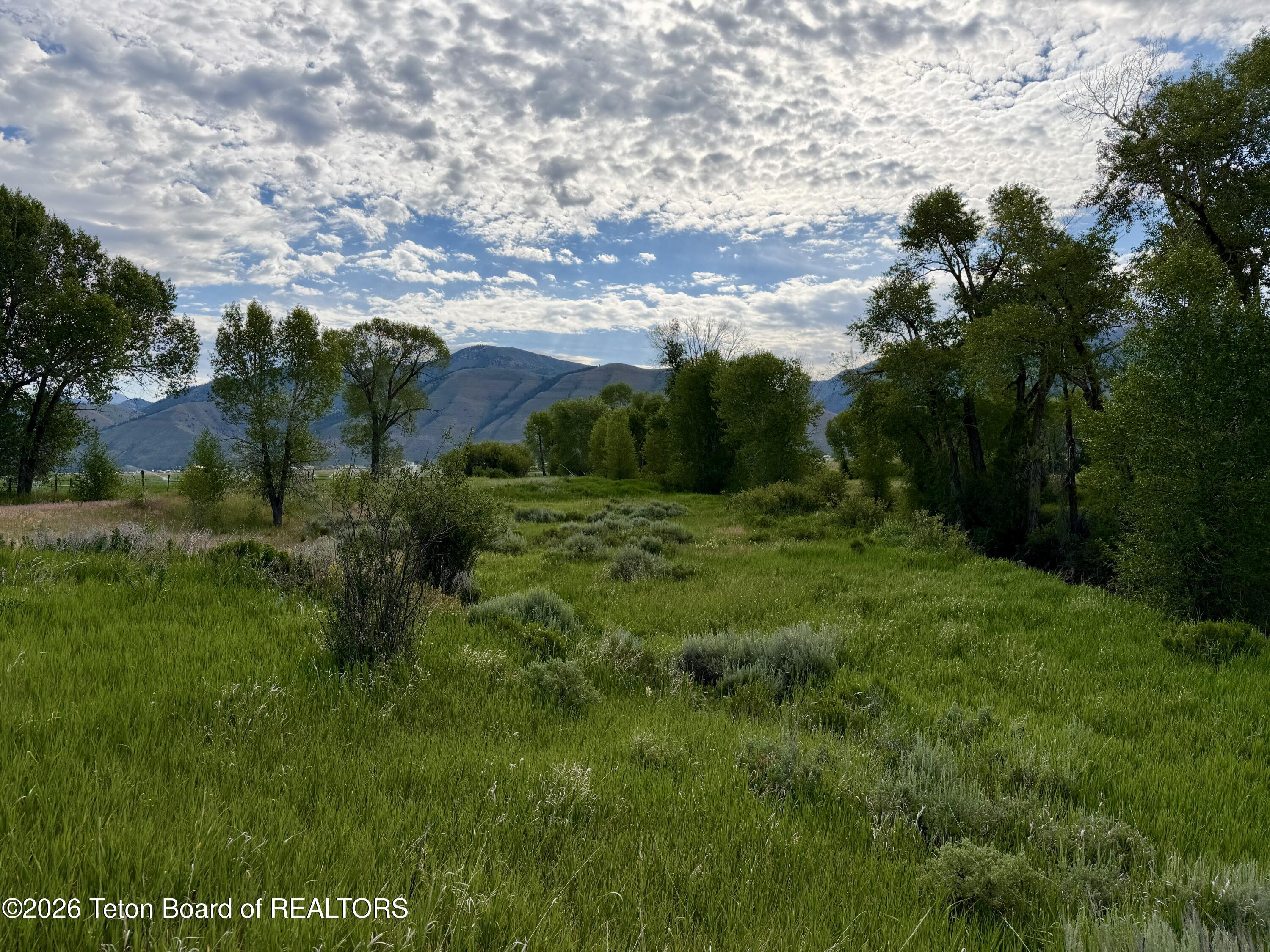 989 Dry Creek Road Afton, WY 83110 - Photo 124 of 129 IMG_1536