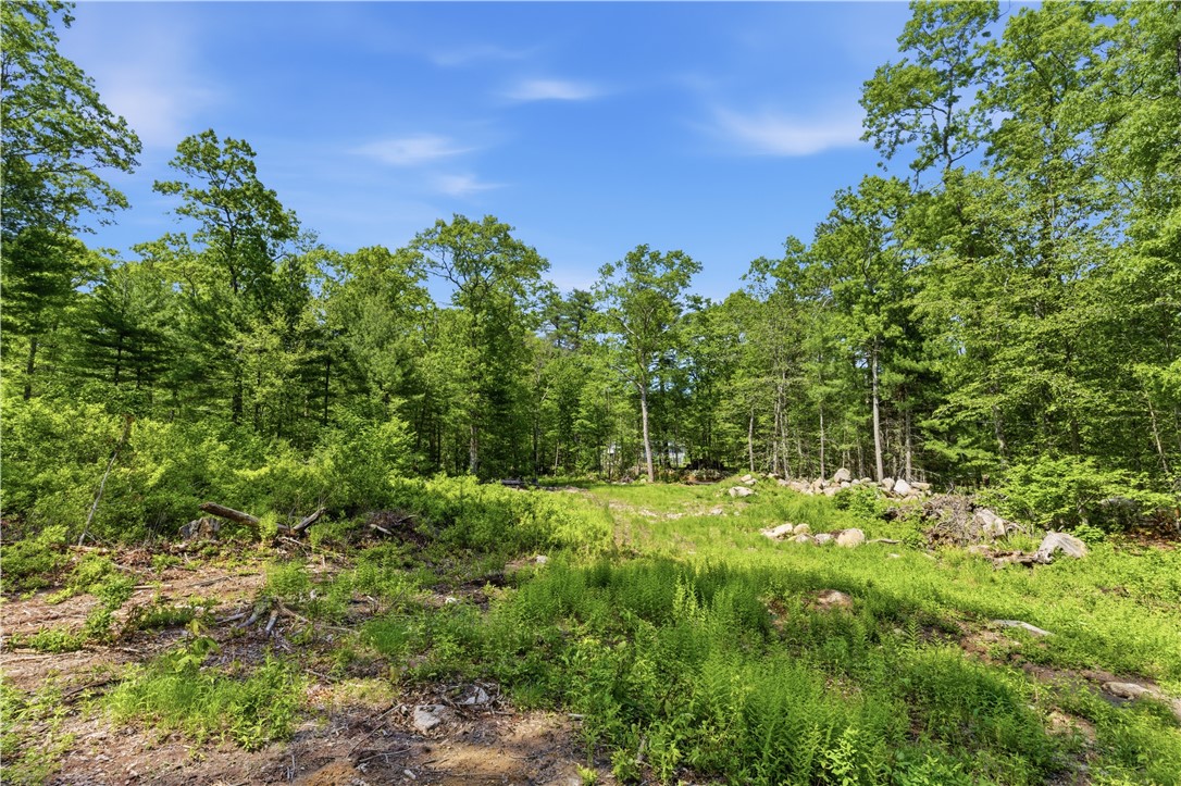 234 John Potter Road West Greenwich, RI 02817 - Photo 3 of 3