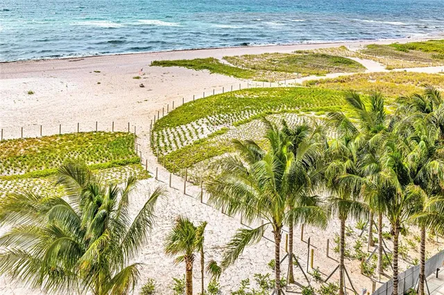 a living room with furniture potted plant and a large window