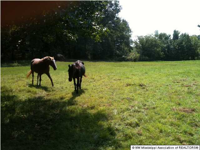 2525 Fogg Road South Hernando, MS 38632 - Photo 2 of 12 Additional Photo
