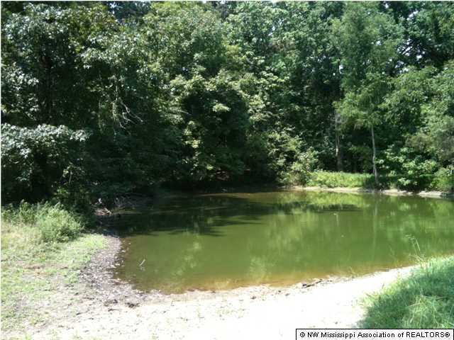 2525 Fogg Road South Hernando, MS 38632 - Photo 4 of 12 Additional Photo