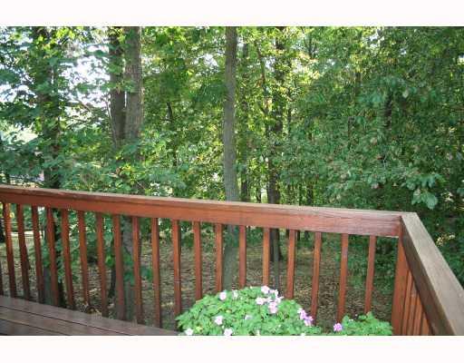 View. A view off the back deck.