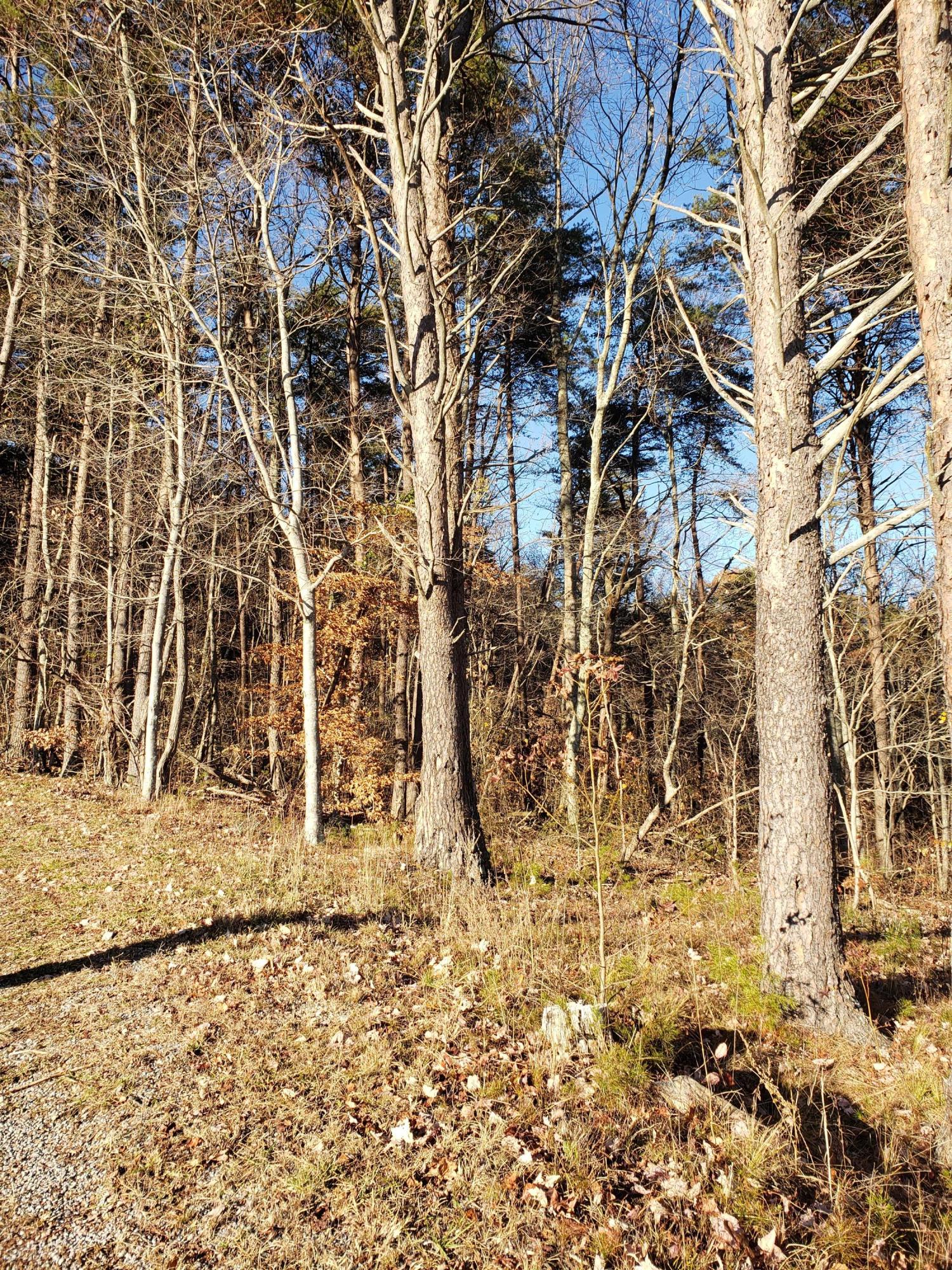 0 English Cove Road Whitwell, TN 37397 - Photo 1 of 7 20191125_150753