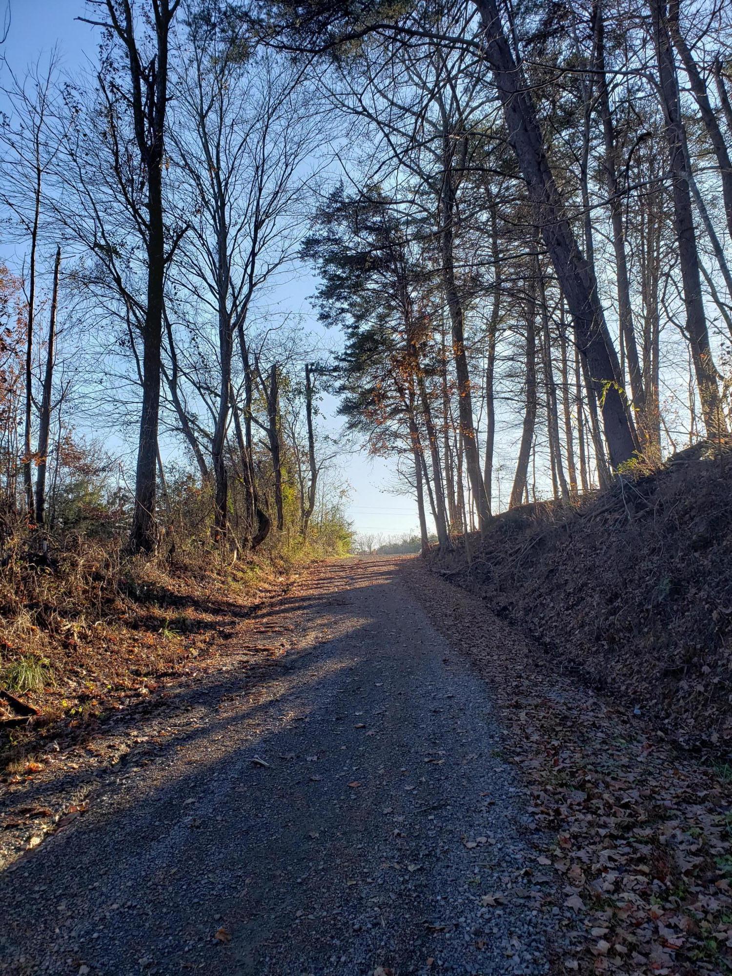 0 English Cove Road Whitwell, TN 37397 - Photo 2 of 7 20191125_151053