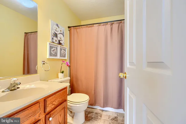 a bathroom with a sink a toilet and shower curtain