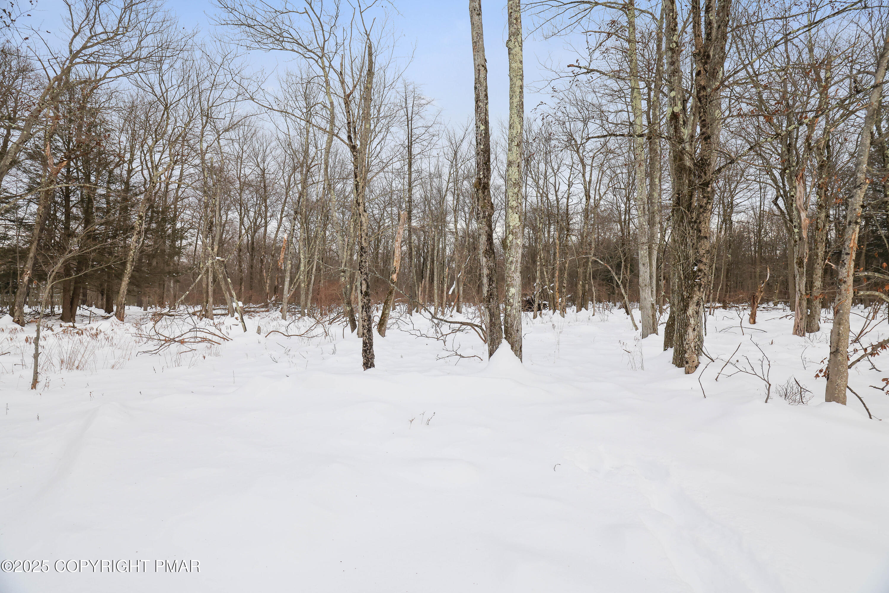 1254 Winding Way Tobyhanna, PA 18466 - Photo 40 of 46 a view of snow and trees
