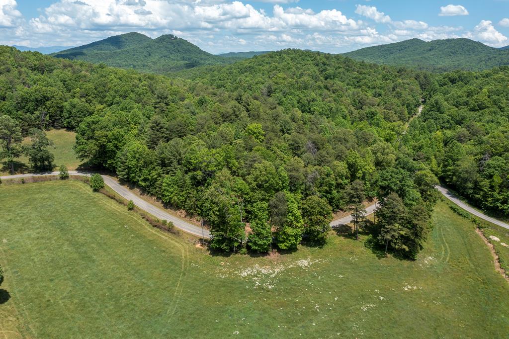 4.2-acre Donley Road Murphy, NC 28906 - Photo 18 of 32 a view of a lush green hillside and a houses